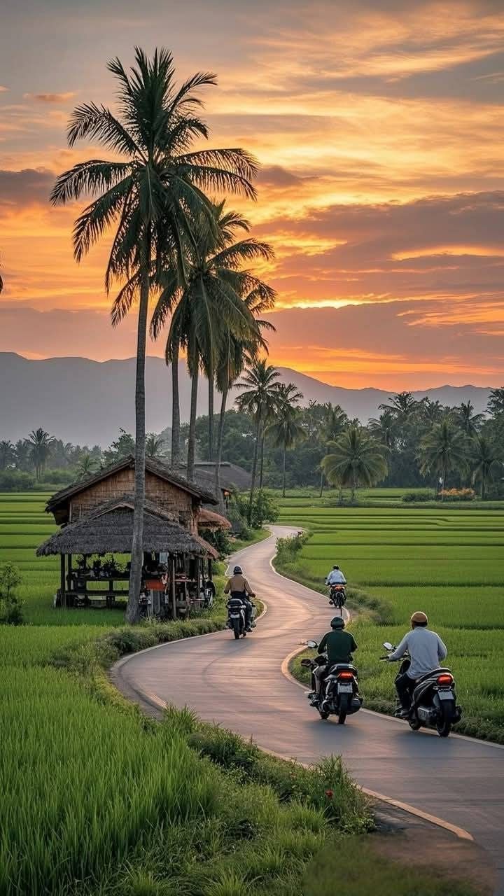 Pemandangan Alam